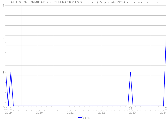 AUTOCONFORMIDAD Y RECUPERACIONES S.L. (Spain) Page visits 2024 