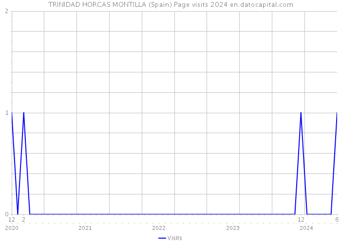 TRINIDAD HORCAS MONTILLA (Spain) Page visits 2024 