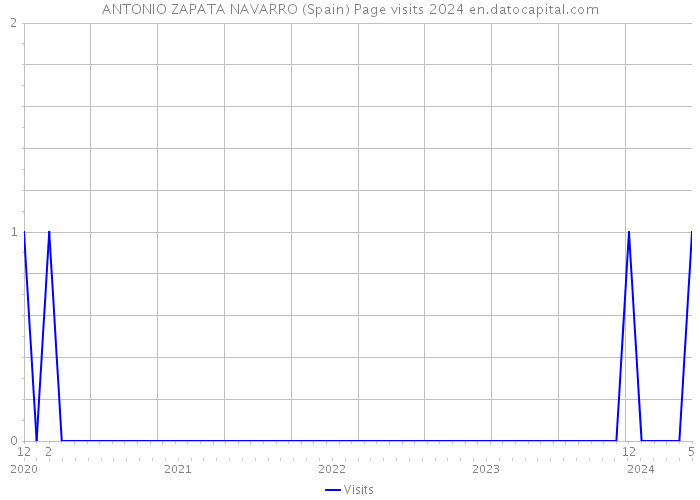 ANTONIO ZAPATA NAVARRO (Spain) Page visits 2024 