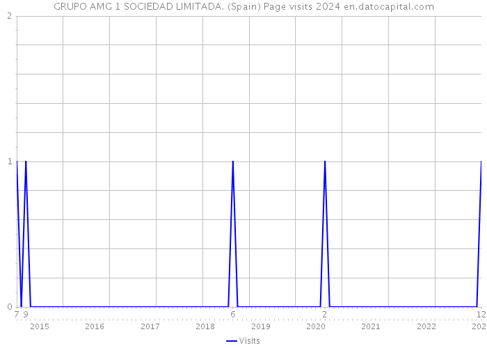 GRUPO AMG 1 SOCIEDAD LIMITADA. (Spain) Page visits 2024 