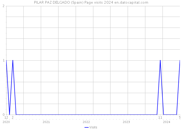 PILAR PAZ DELGADO (Spain) Page visits 2024 