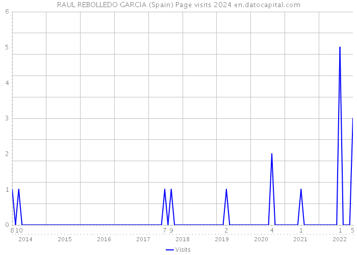 RAUL REBOLLEDO GARCIA (Spain) Page visits 2024 