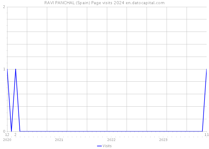 RAVI PANCHAL (Spain) Page visits 2024 