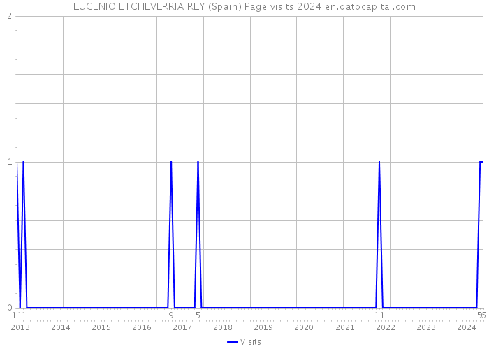 EUGENIO ETCHEVERRIA REY (Spain) Page visits 2024 