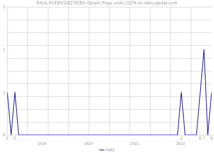 RAUL RODRIGUEZ EGEA (Spain) Page visits 2024 