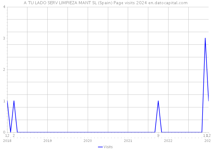 A TU LADO SERV LIMPIEZA MANT SL (Spain) Page visits 2024 