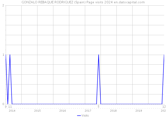 GONZALO REBAQUE RODRIGUEZ (Spain) Page visits 2024 