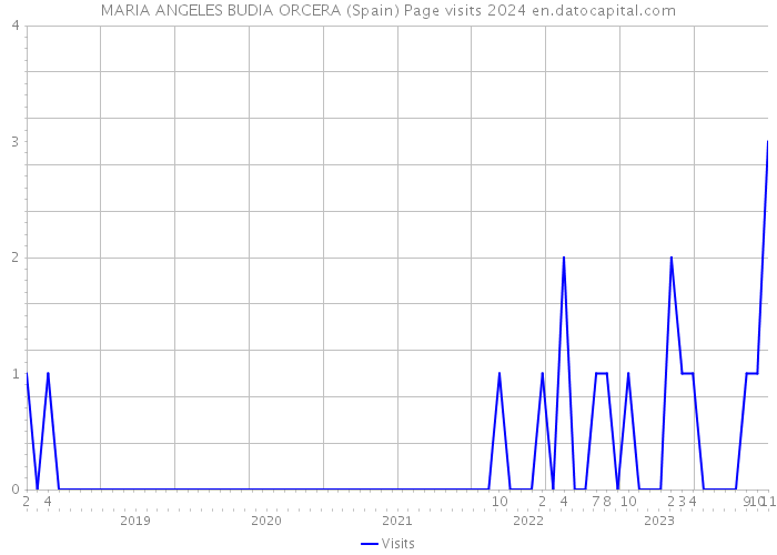 MARIA ANGELES BUDIA ORCERA (Spain) Page visits 2024 