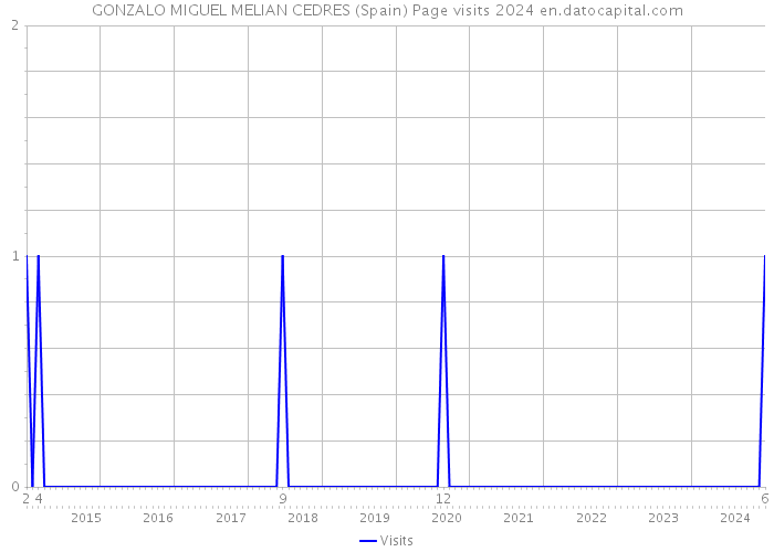GONZALO MIGUEL MELIAN CEDRES (Spain) Page visits 2024 