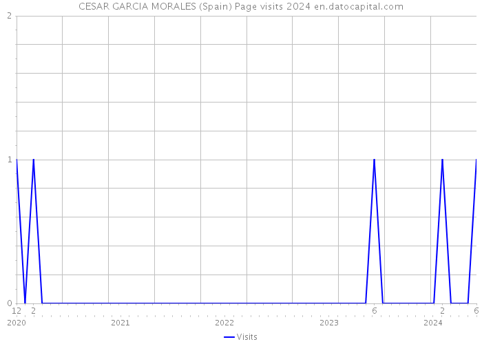 CESAR GARCIA MORALES (Spain) Page visits 2024 
