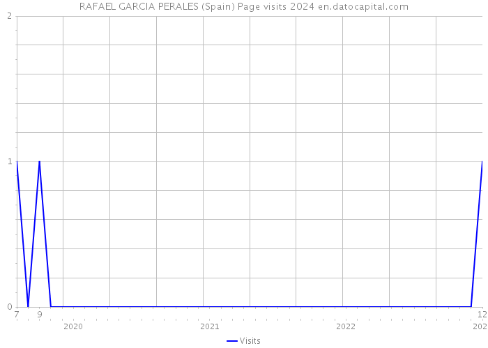 RAFAEL GARCIA PERALES (Spain) Page visits 2024 