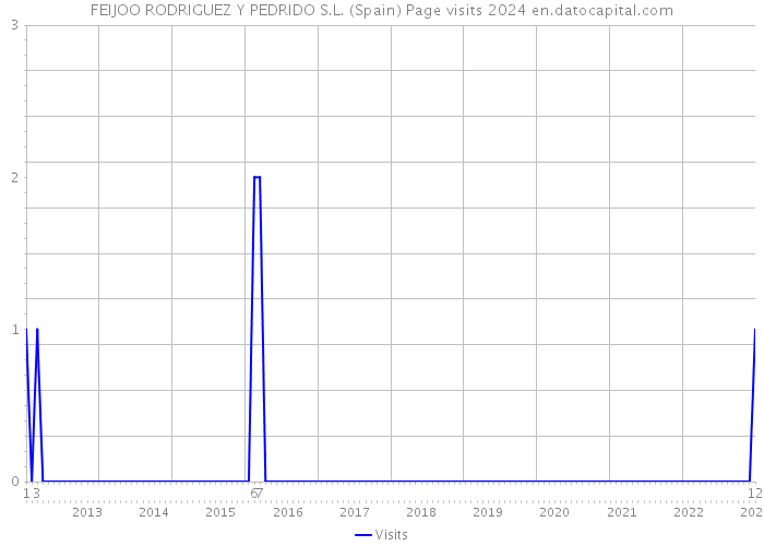 FEIJOO RODRIGUEZ Y PEDRIDO S.L. (Spain) Page visits 2024 
