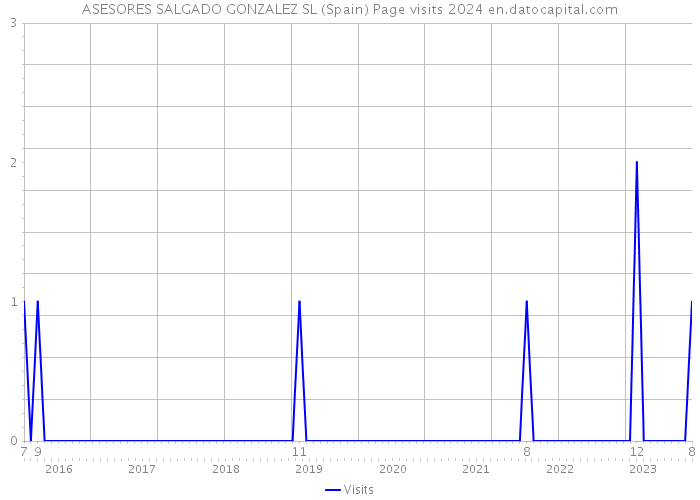 ASESORES SALGADO GONZALEZ SL (Spain) Page visits 2024 