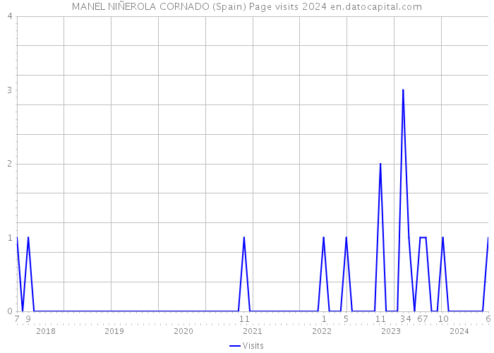 MANEL NIÑEROLA CORNADO (Spain) Page visits 2024 