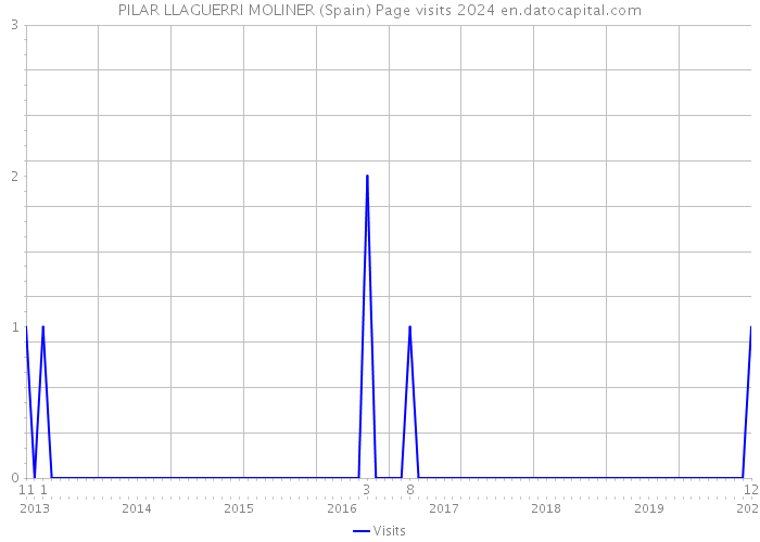PILAR LLAGUERRI MOLINER (Spain) Page visits 2024 