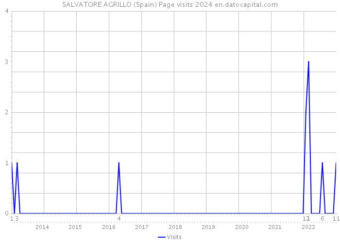 SALVATORE AGRILLO (Spain) Page visits 2024 