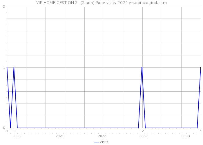 VIP HOME GESTION SL (Spain) Page visits 2024 