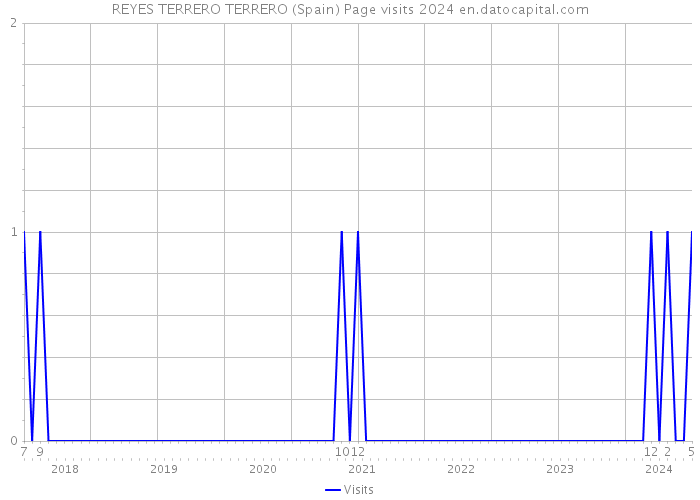 REYES TERRERO TERRERO (Spain) Page visits 2024 