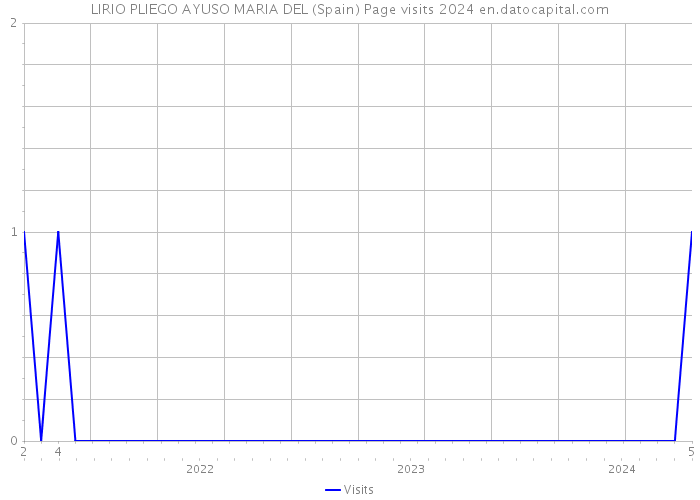 LIRIO PLIEGO AYUSO MARIA DEL (Spain) Page visits 2024 