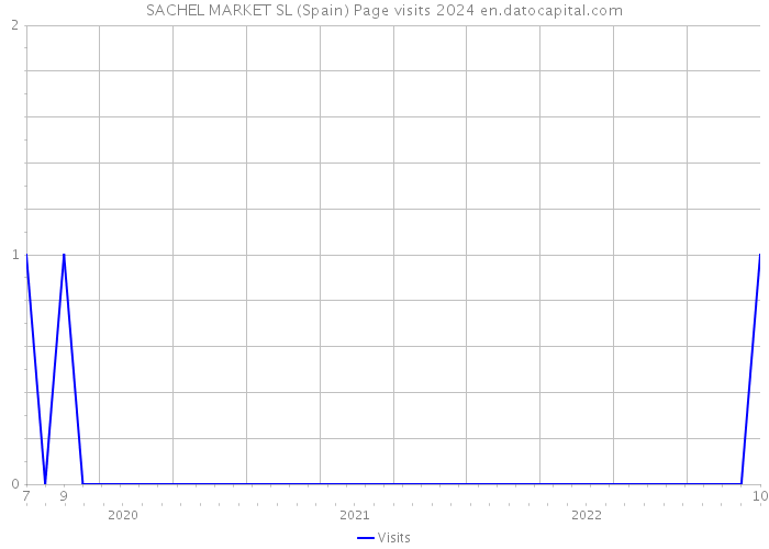 SACHEL MARKET SL (Spain) Page visits 2024 