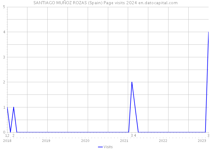 SANTIAGO MUÑOZ ROZAS (Spain) Page visits 2024 