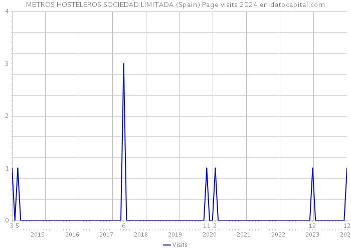 METROS HOSTELEROS SOCIEDAD LIMITADA (Spain) Page visits 2024 