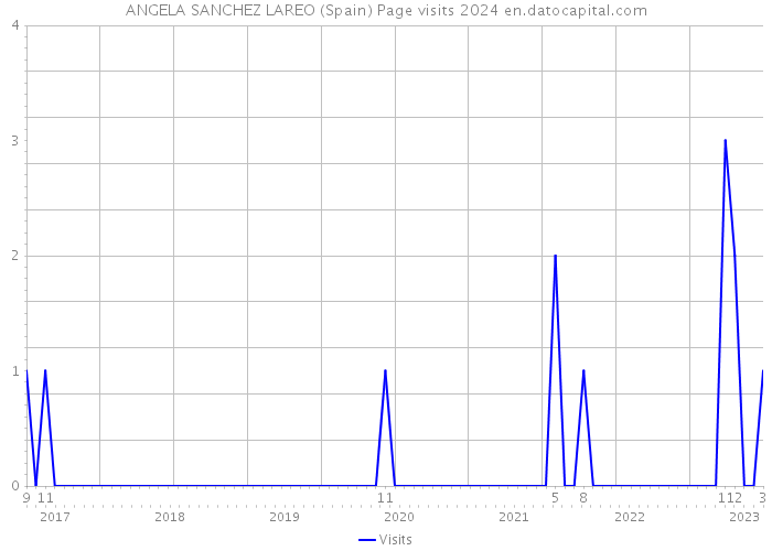 ANGELA SANCHEZ LAREO (Spain) Page visits 2024 