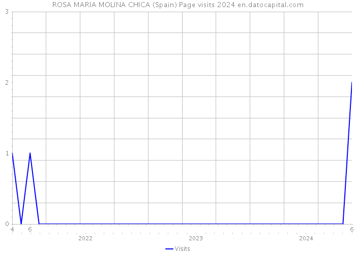 ROSA MARIA MOLINA CHICA (Spain) Page visits 2024 