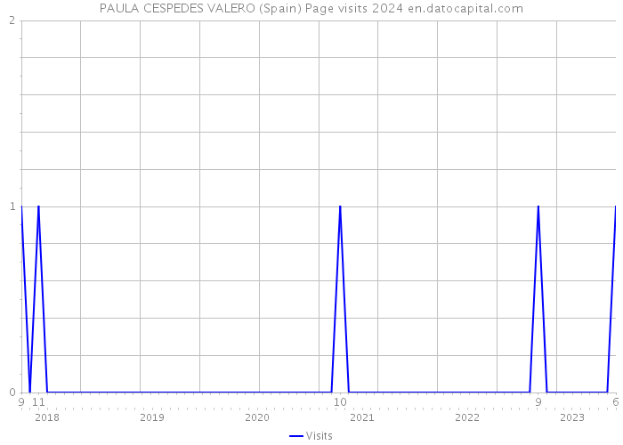 PAULA CESPEDES VALERO (Spain) Page visits 2024 