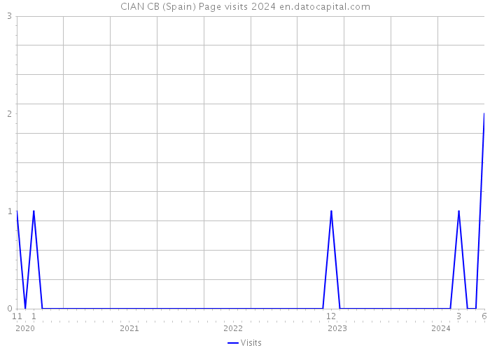 CIAN CB (Spain) Page visits 2024 