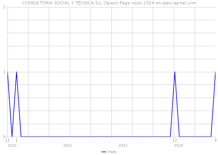 CONSULTORIA SOCIAL Y TECNICA S.L. (Spain) Page visits 2024 