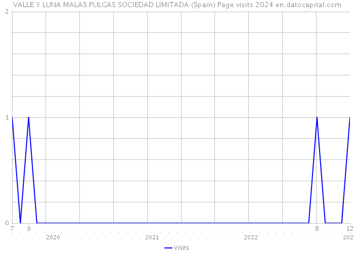 VALLE Y LUNA MALAS PULGAS SOCIEDAD LIMITADA (Spain) Page visits 2024 