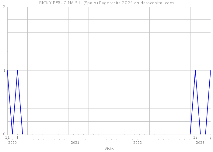 RICKY PERUGINA S.L. (Spain) Page visits 2024 