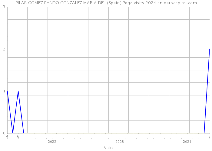 PILAR GOMEZ PANDO GONZALEZ MARIA DEL (Spain) Page visits 2024 