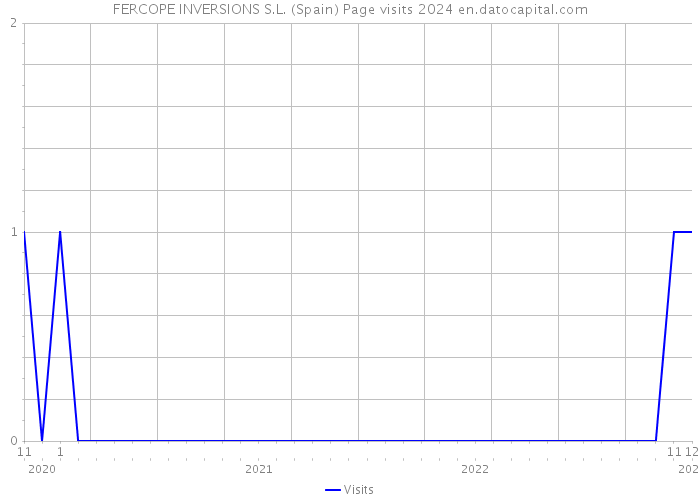 FERCOPE INVERSIONS S.L. (Spain) Page visits 2024 