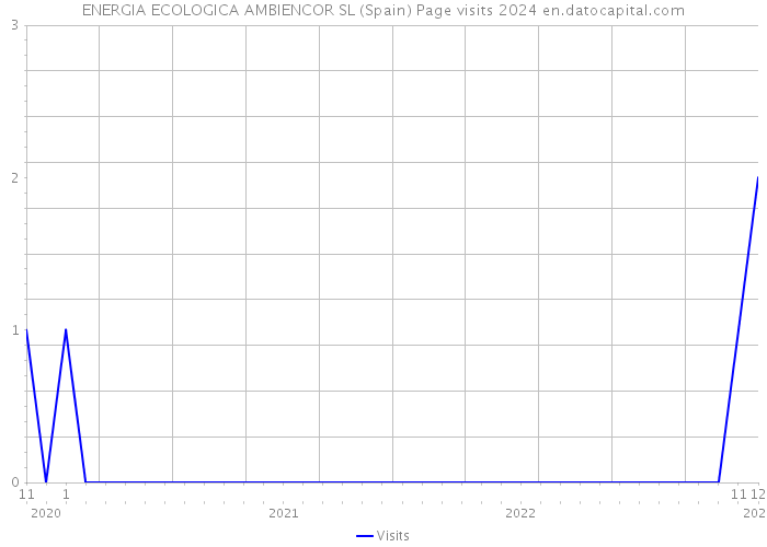 ENERGIA ECOLOGICA AMBIENCOR SL (Spain) Page visits 2024 