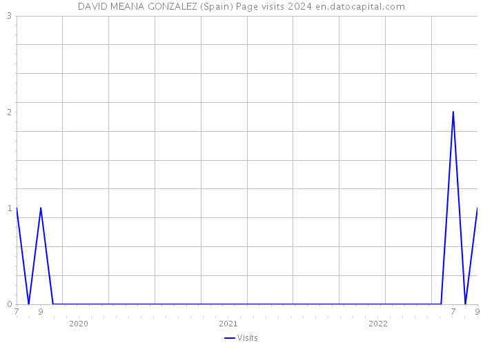 DAVID MEANA GONZALEZ (Spain) Page visits 2024 