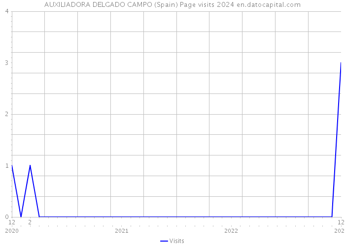 AUXILIADORA DELGADO CAMPO (Spain) Page visits 2024 