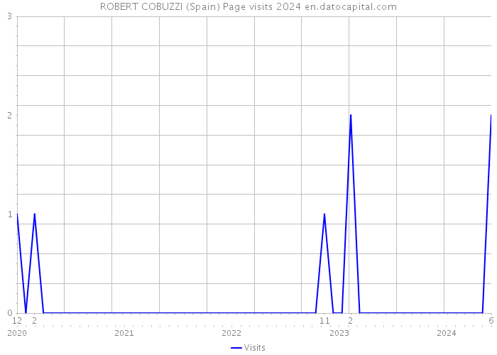 ROBERT COBUZZI (Spain) Page visits 2024 