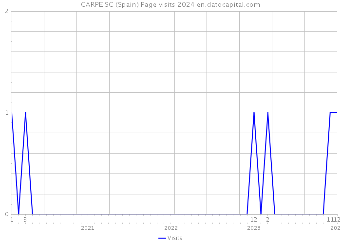 CARPE SC (Spain) Page visits 2024 
