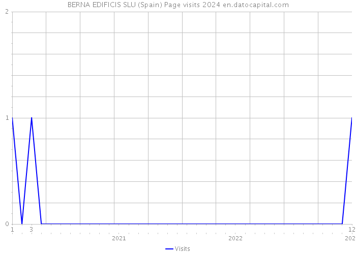 BERNA EDIFICIS SLU (Spain) Page visits 2024 