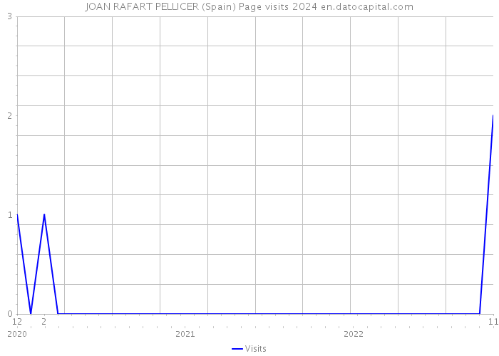 JOAN RAFART PELLICER (Spain) Page visits 2024 