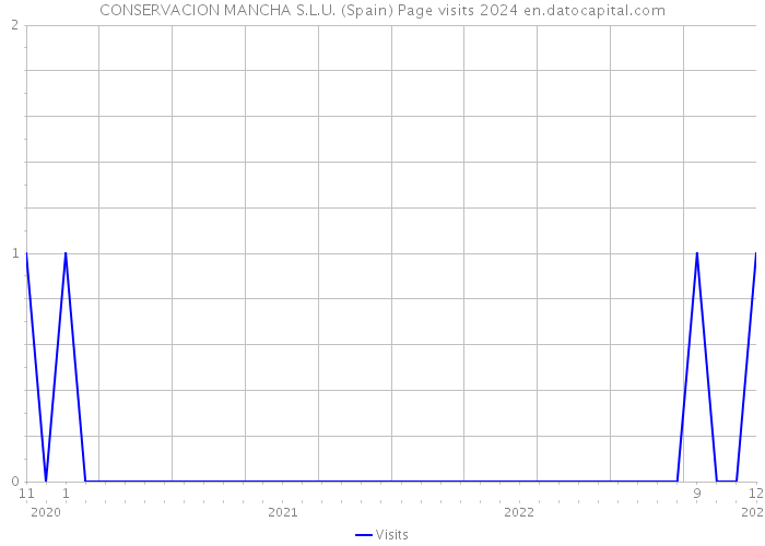 CONSERVACION MANCHA S.L.U. (Spain) Page visits 2024 