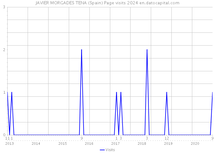 JAVIER MORGADES TENA (Spain) Page visits 2024 
