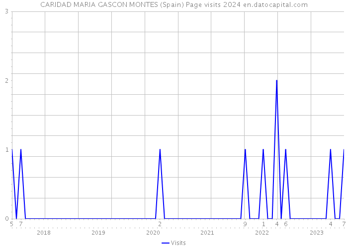 CARIDAD MARIA GASCON MONTES (Spain) Page visits 2024 