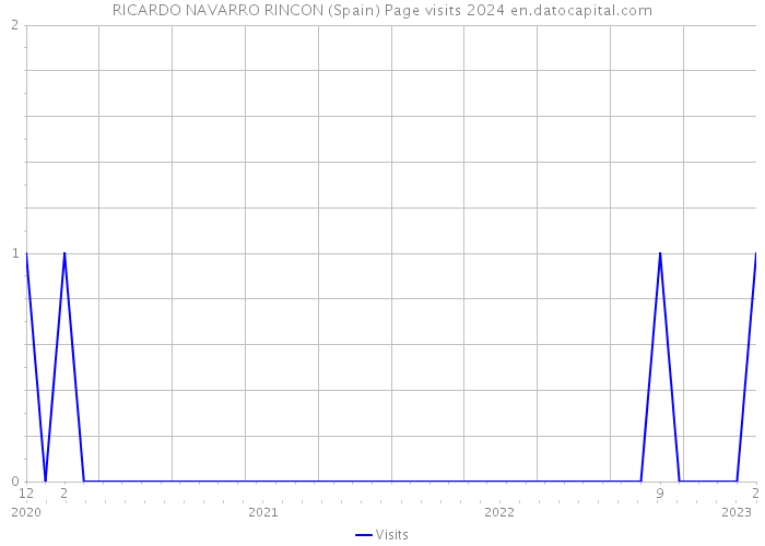 RICARDO NAVARRO RINCON (Spain) Page visits 2024 