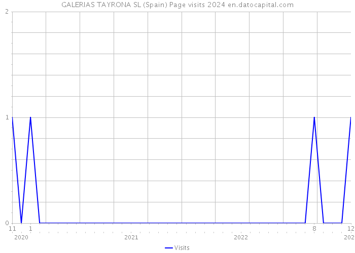 GALERIAS TAYRONA SL (Spain) Page visits 2024 
