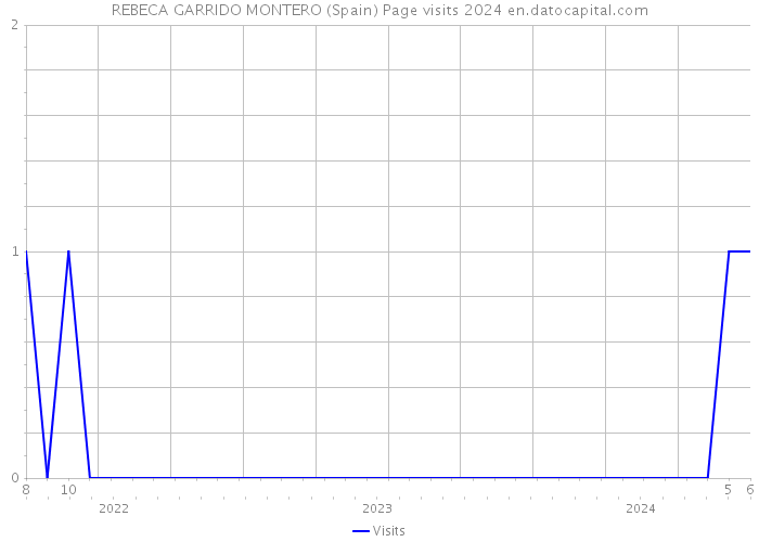 REBECA GARRIDO MONTERO (Spain) Page visits 2024 