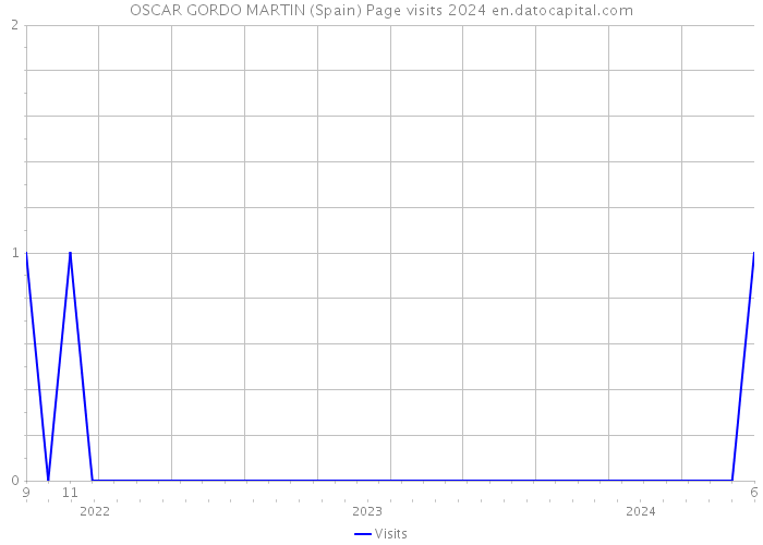 OSCAR GORDO MARTIN (Spain) Page visits 2024 