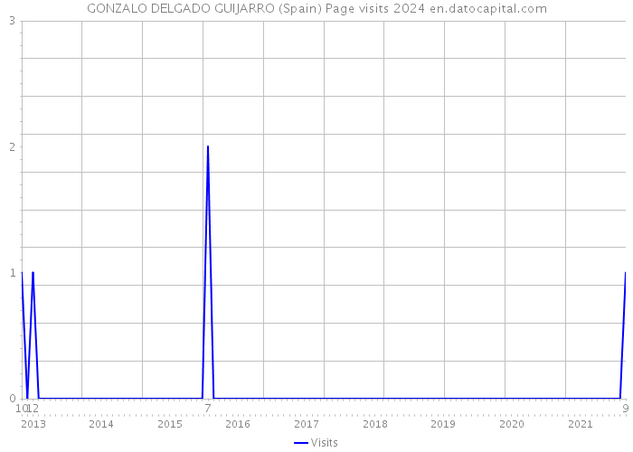 GONZALO DELGADO GUIJARRO (Spain) Page visits 2024 